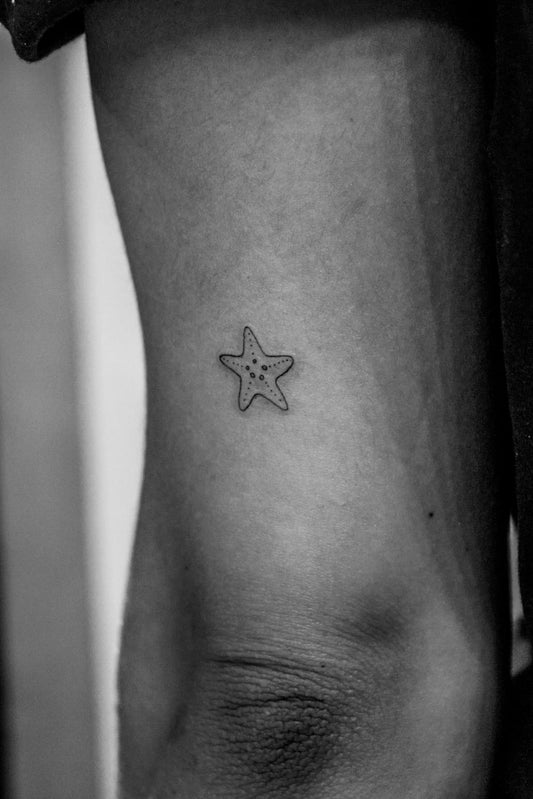 Tiny estrella de mar