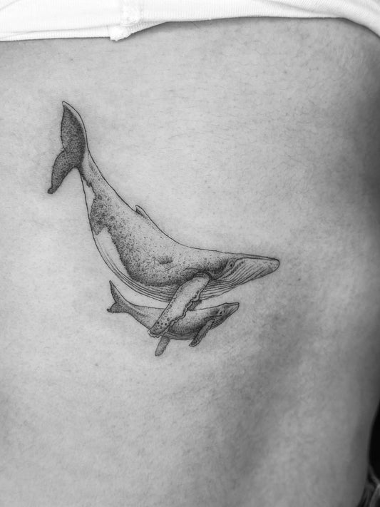 Ballenas